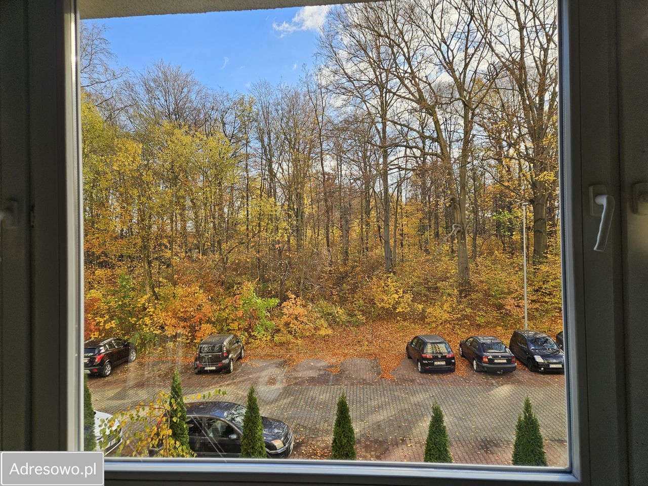 Mieszkanie 1-pokojowe Katowice Giszowiec, ul. Wojciecha. Zdjęcie 2