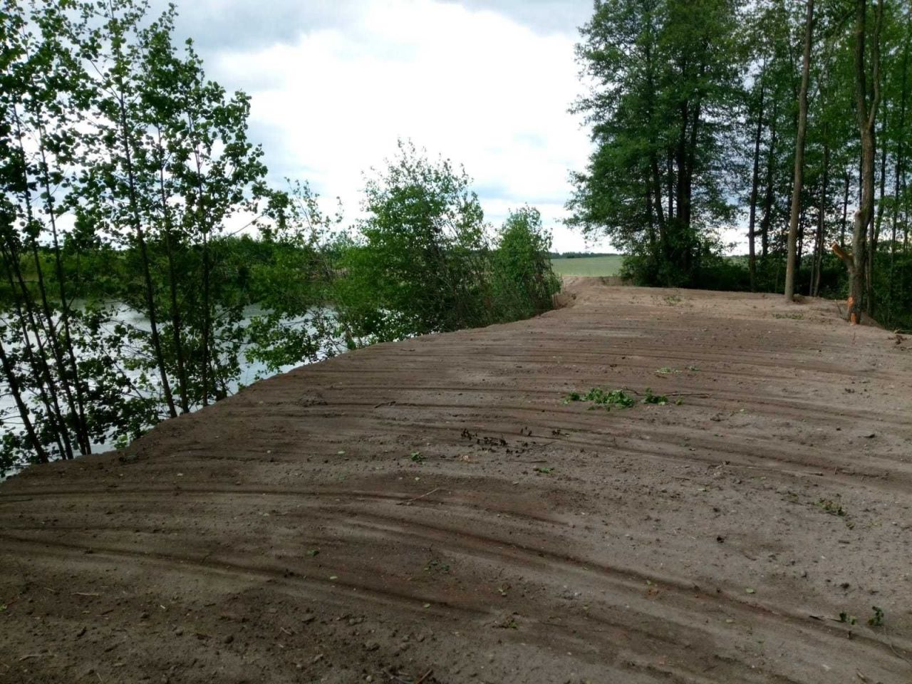 Działka leśna Kalsko. Zdjęcie 1