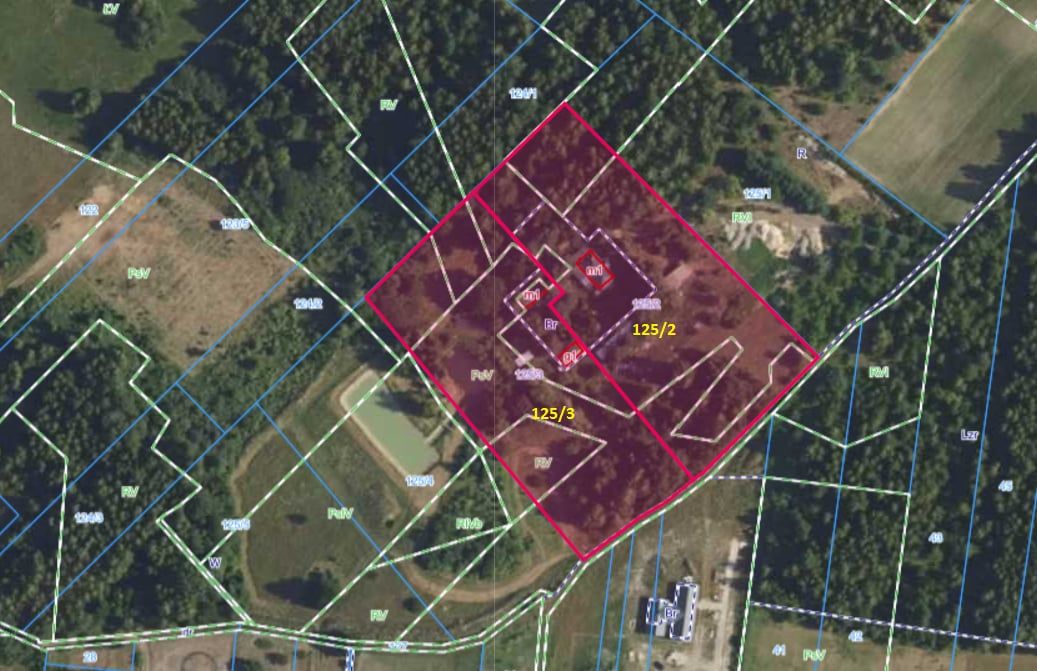 dom wolnostojący, 5 pokoi Budy Michałowskie, Budy Michałowskie. Zdjęcie 1