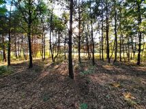 Działka inwestycyjna Sulejówek, ul. Świętojańska. Zdjęcie 4