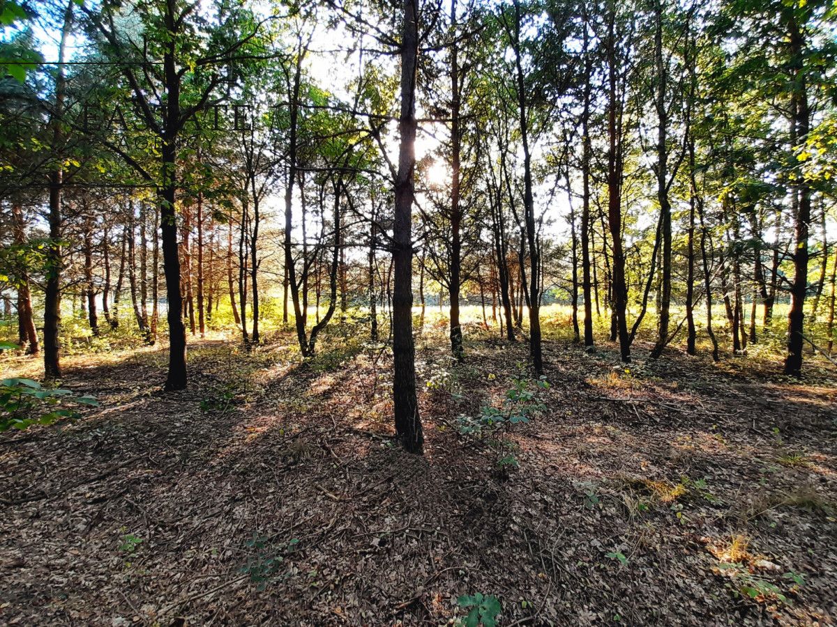 Działka inwestycyjna Sulejówek, ul. Świętojańska. Zdjęcie 6