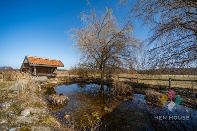 dom wolnostojący, 8 pokoi Zdory. Zdjęcie 24