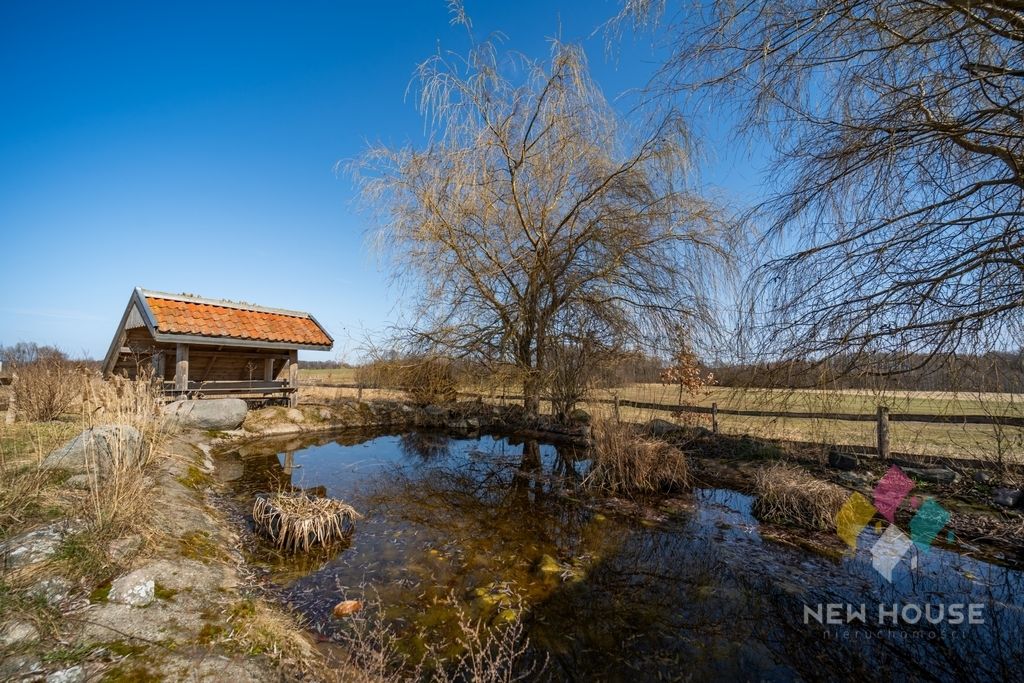 dom wolnostojący, 8 pokoi Zdory. Zdjęcie 24
