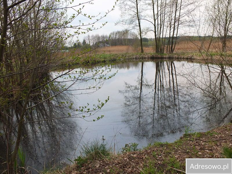 Działka rolna Jedlanka Kępiny. Zdjęcie 3