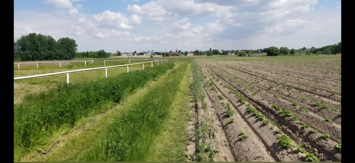Działka budowlana Falenty Nowe. Zdjęcie 2