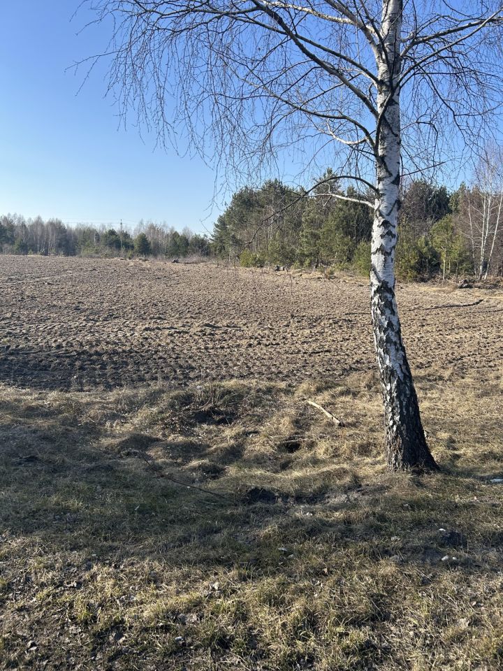 Działka rolna Orzechów-Kolonia. Zdjęcie 3