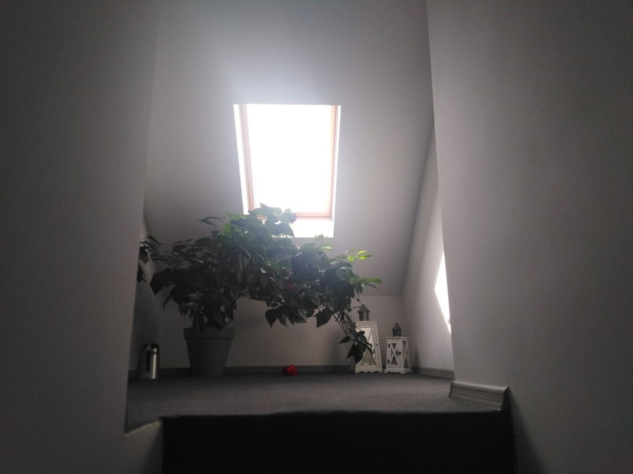 dom wolnostojący, 3 pokoje Boguszewo. Zdjęcie 5