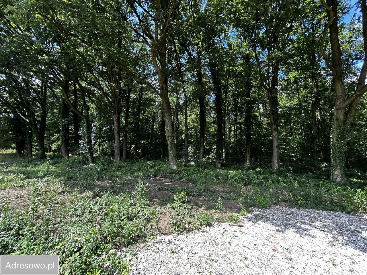 Działka budowlana Siemianice, ul. Cicha. Zdjęcie 2