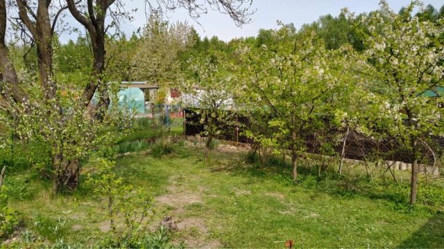 Działka rod Chełm. Zdjęcie 1