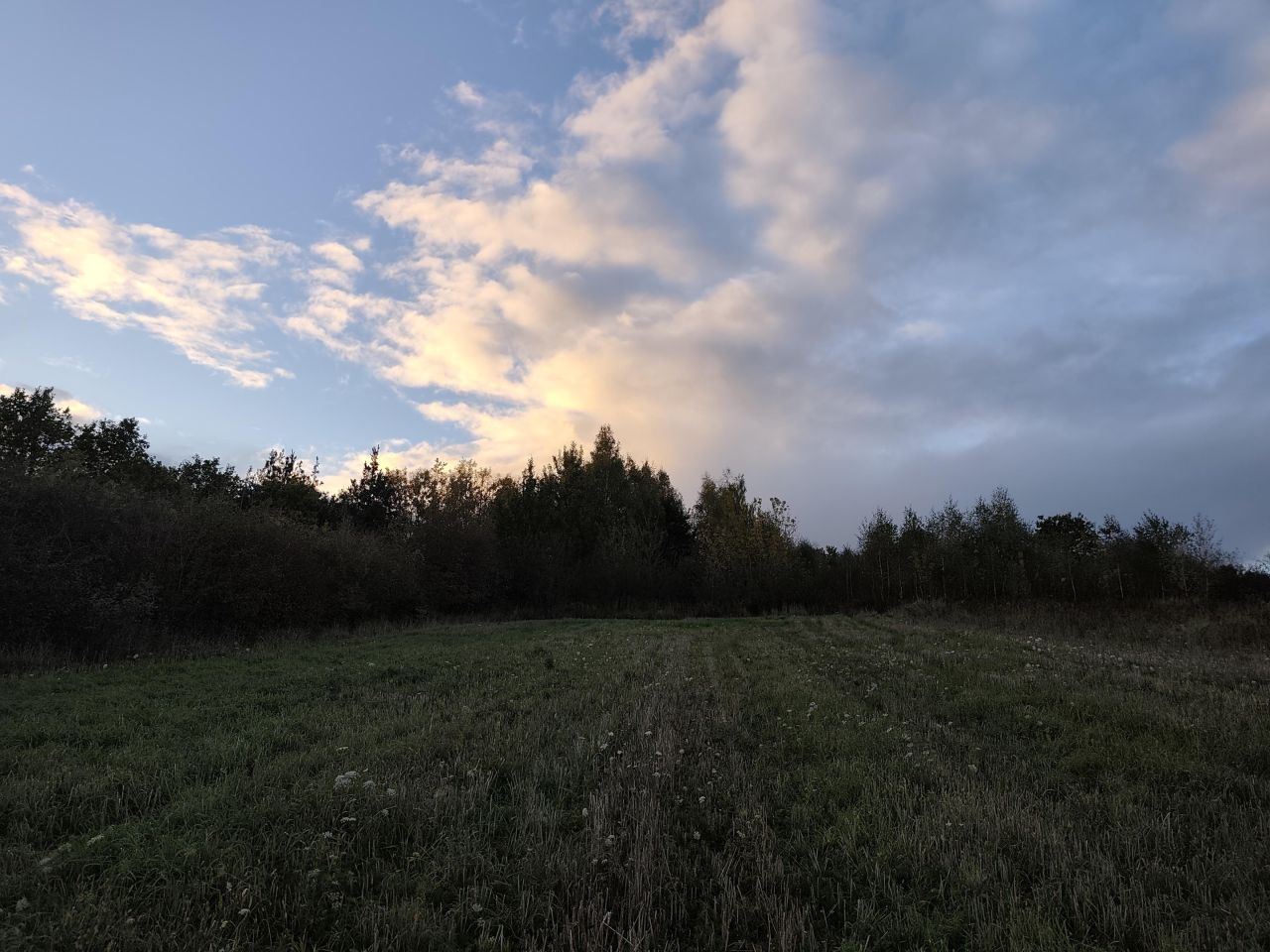 Działka rolno-budowlana Grudziądz, ul. Leszczynowa. Zdjęcie 2