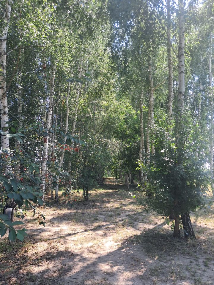 Działka rolno-budowlana Strojec, ul. Zacisze. Zdjęcie 11