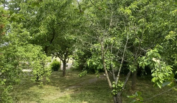 Działka rod Szymanów