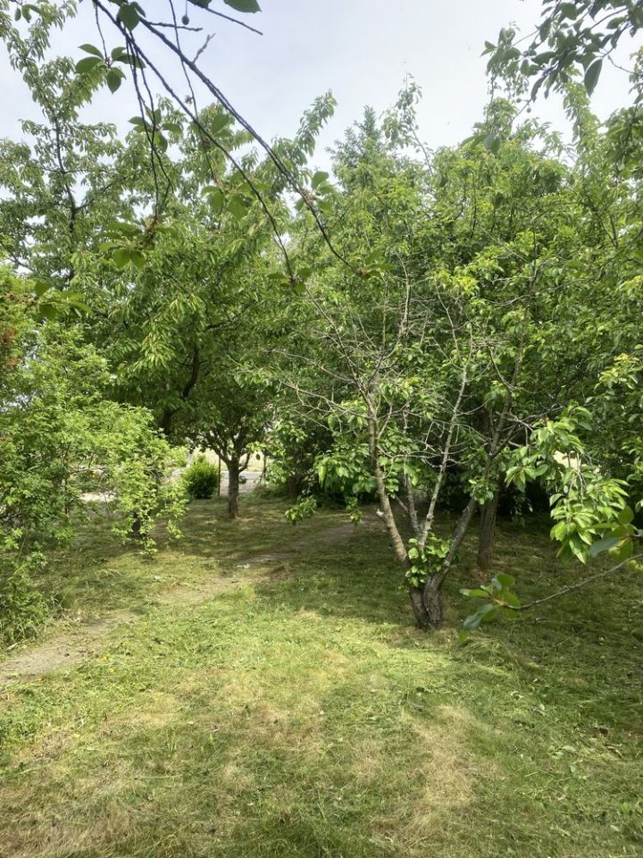 Działka rod Szymanów. Zdjęcie 1