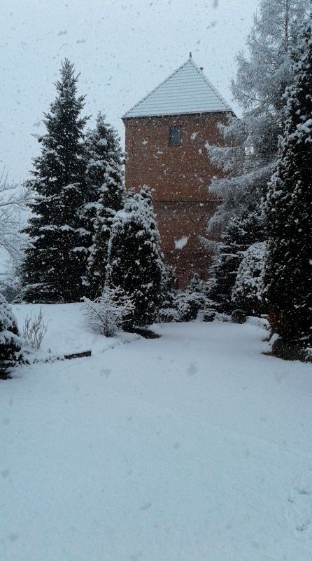 Lokal Chojnik. Zdjęcie 9