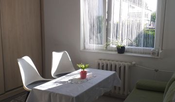 Mieszkanie 1-pokojowe Poznań Smochowice, ul. Ownicka