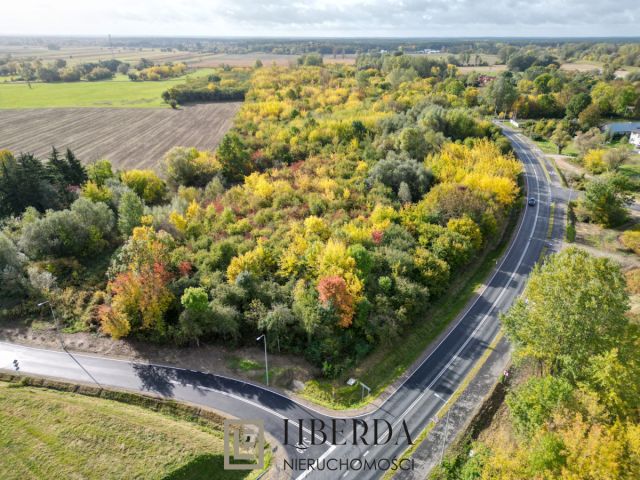 Działka inwestycyjna Sady, ul. Główna. Zdjęcie 2