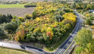 Działka inwestycyjna Sady, ul. Główna