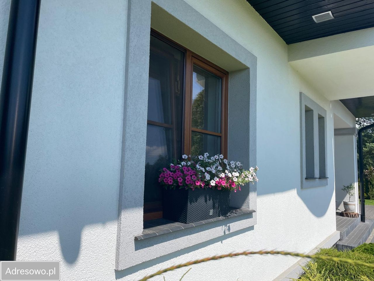 dom wolnostojący, 6 pokoi Czarne Błoto. Zdjęcie 11