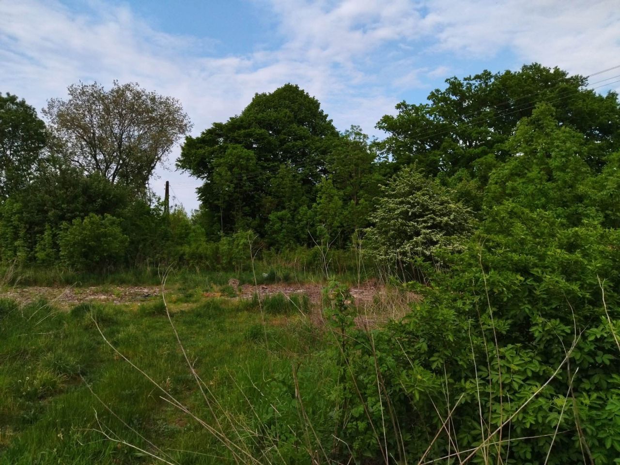 Działka budowlana Darżewo. Zdjęcie 12