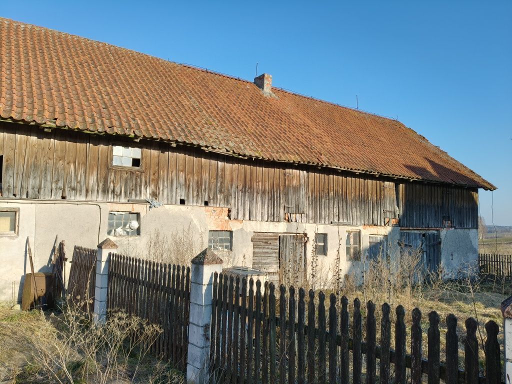 gospodarstwo Zawidy. Zdjęcie 4