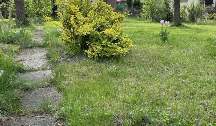 Działka rod Gliwice Szobiszowice, ul. Myśliwska