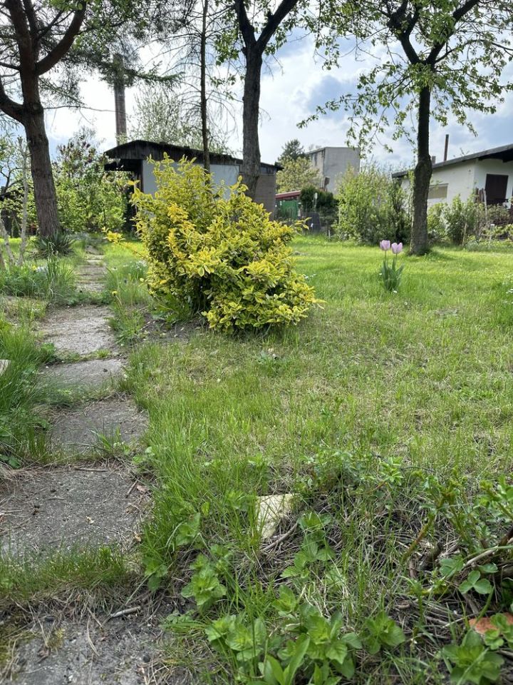 Działka rod Gliwice Szobiszowice, ul. Myśliwska. Zdjęcie 1