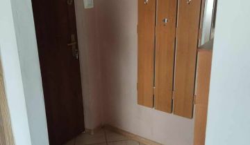 Mieszkanie 1-pokojowe Płońsk