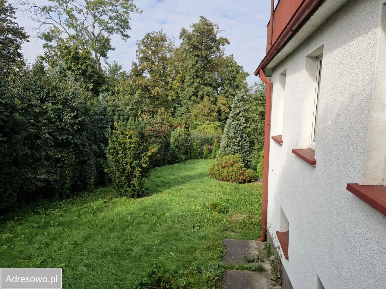 dom wolnostojący, 7 pokoi Sadki. Zdjęcie 8