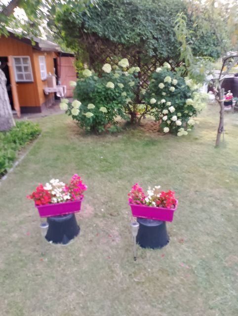 Działka rekreacyjna Ostrów Wielkopolski Zębców, ul. Wrocławska. Zdjęcie 11