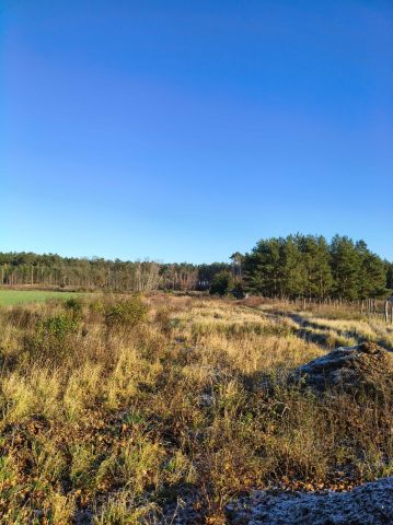 Działka budowlana Grodzisk Wielkopolski. Zdjęcie 1