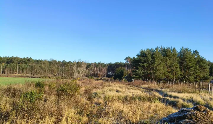 Działka budowlana Grodzisk Wielkopolski