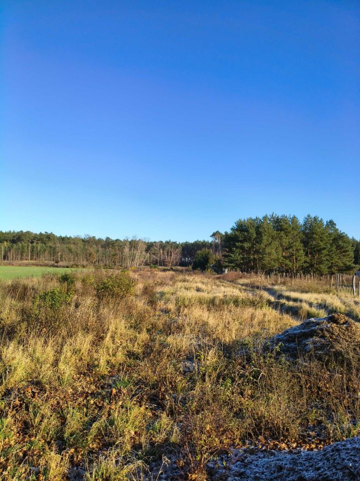 Działka budowlana Grodzisk Wielkopolski