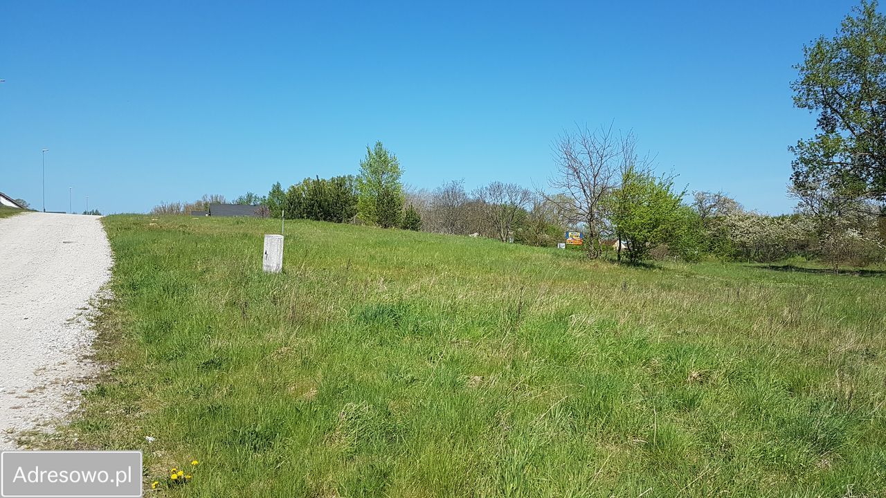 Działka budowlana Dębina. Zdjęcie 4