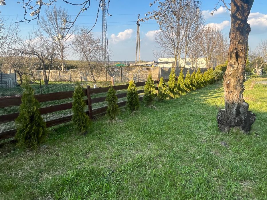 Działka rod Kowal. Zdjęcie 1