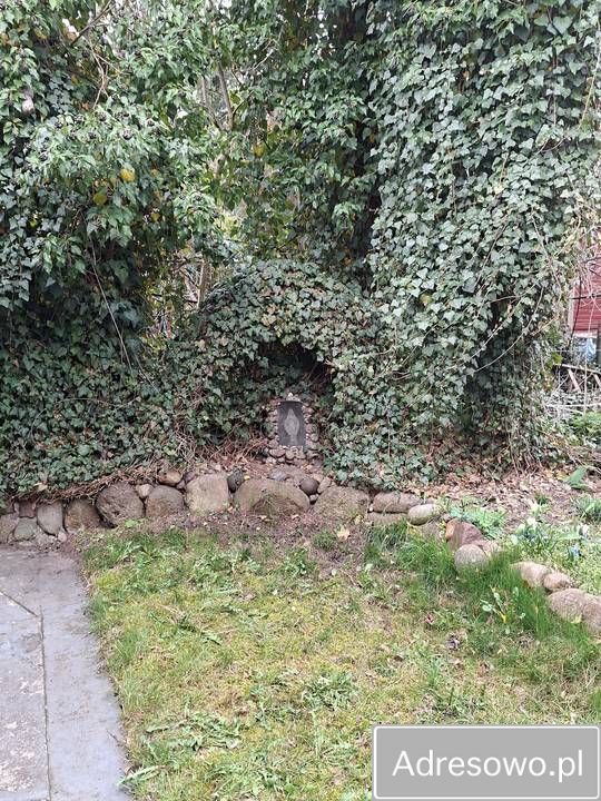 Działka rod Kajetany. Zdjęcie 3