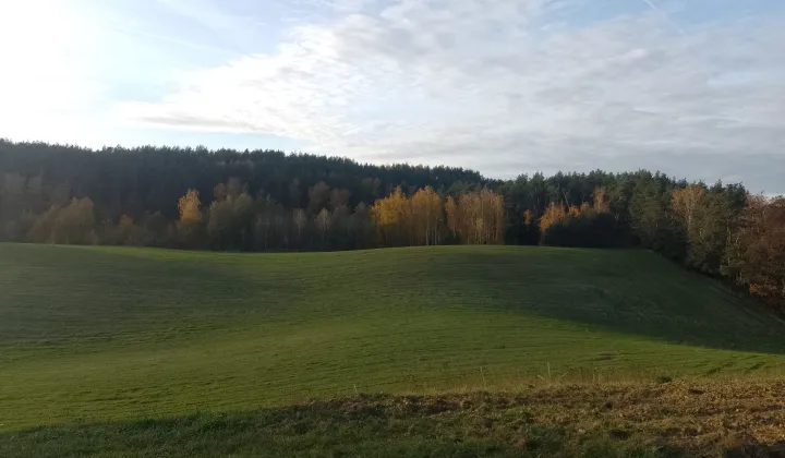 Działka rolna Rembiesznica