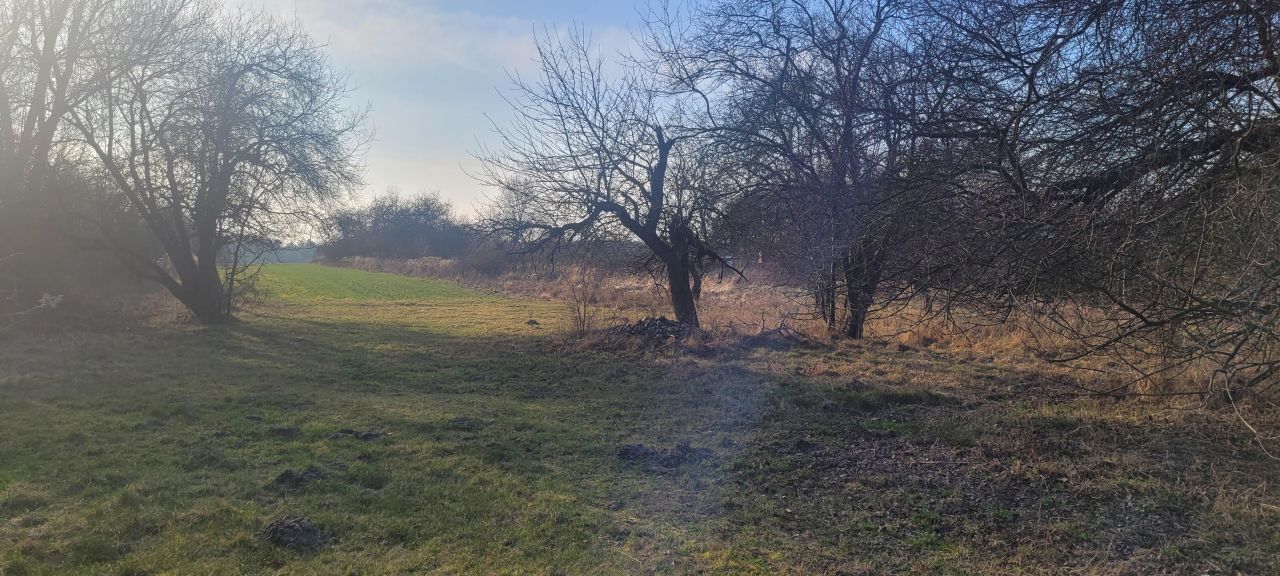 Działka inwestycyjna Wola Władysławowska. Zdjęcie 7