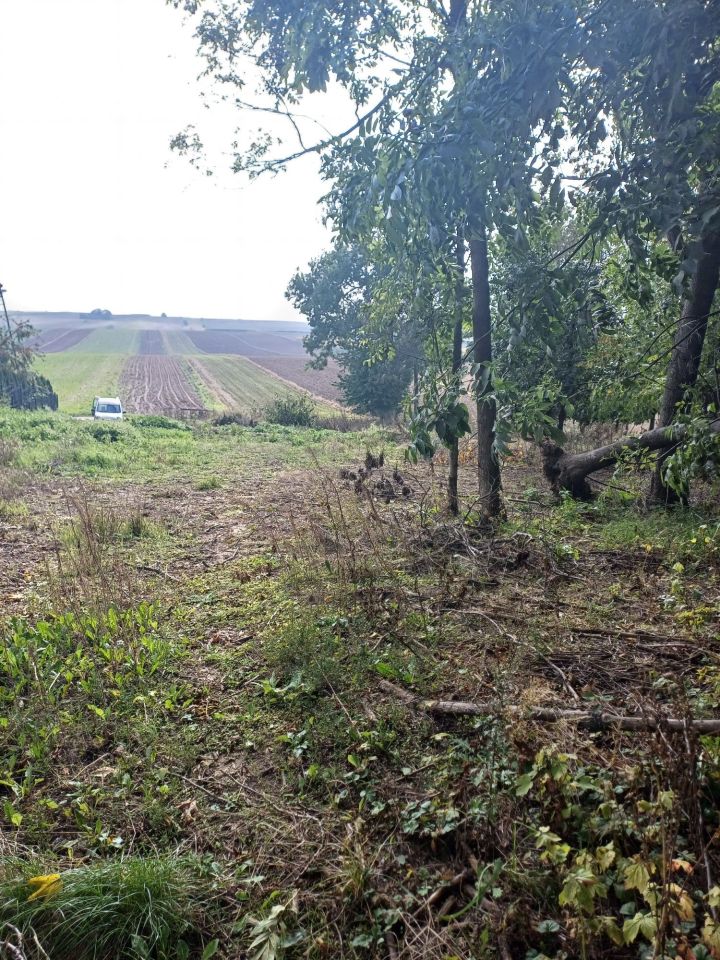 Działka budowlana Wielkanoc. Zdjęcie 3