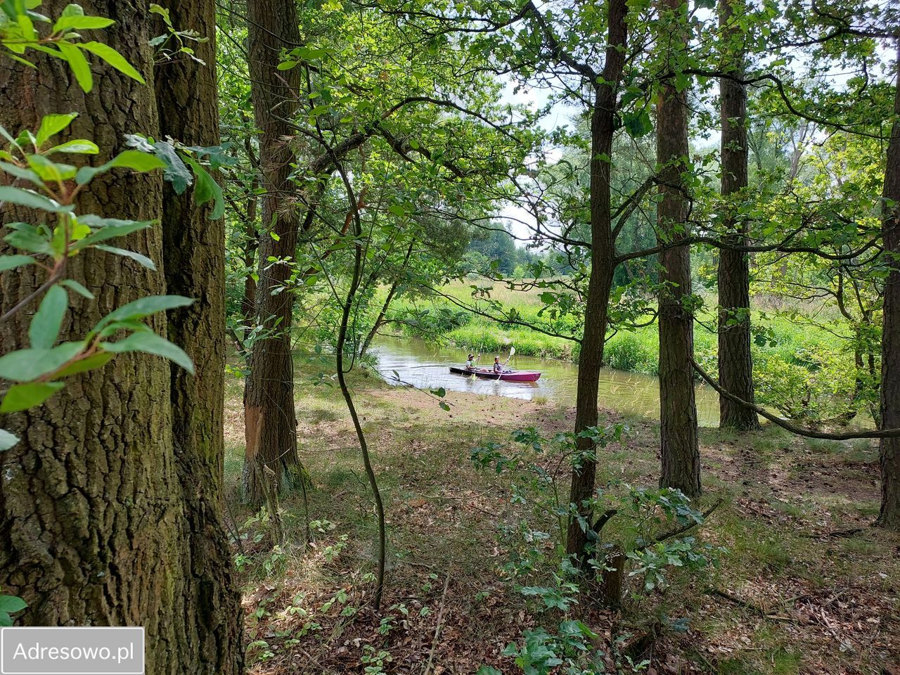 Działka rekreacyjna Zakrzówek Szlachecki. Zdjęcie 11