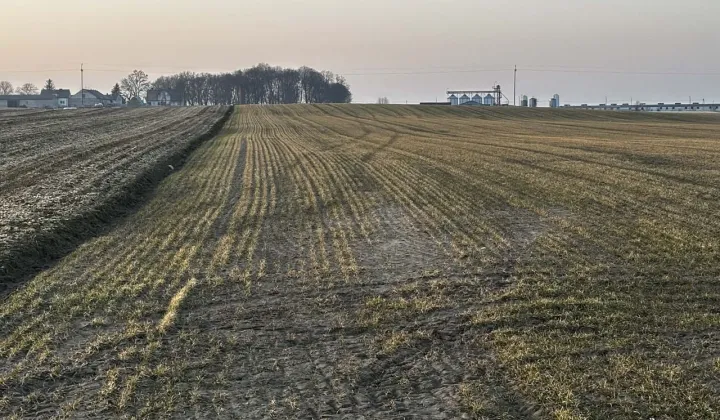 Działka rolna Trzebcz Królewski