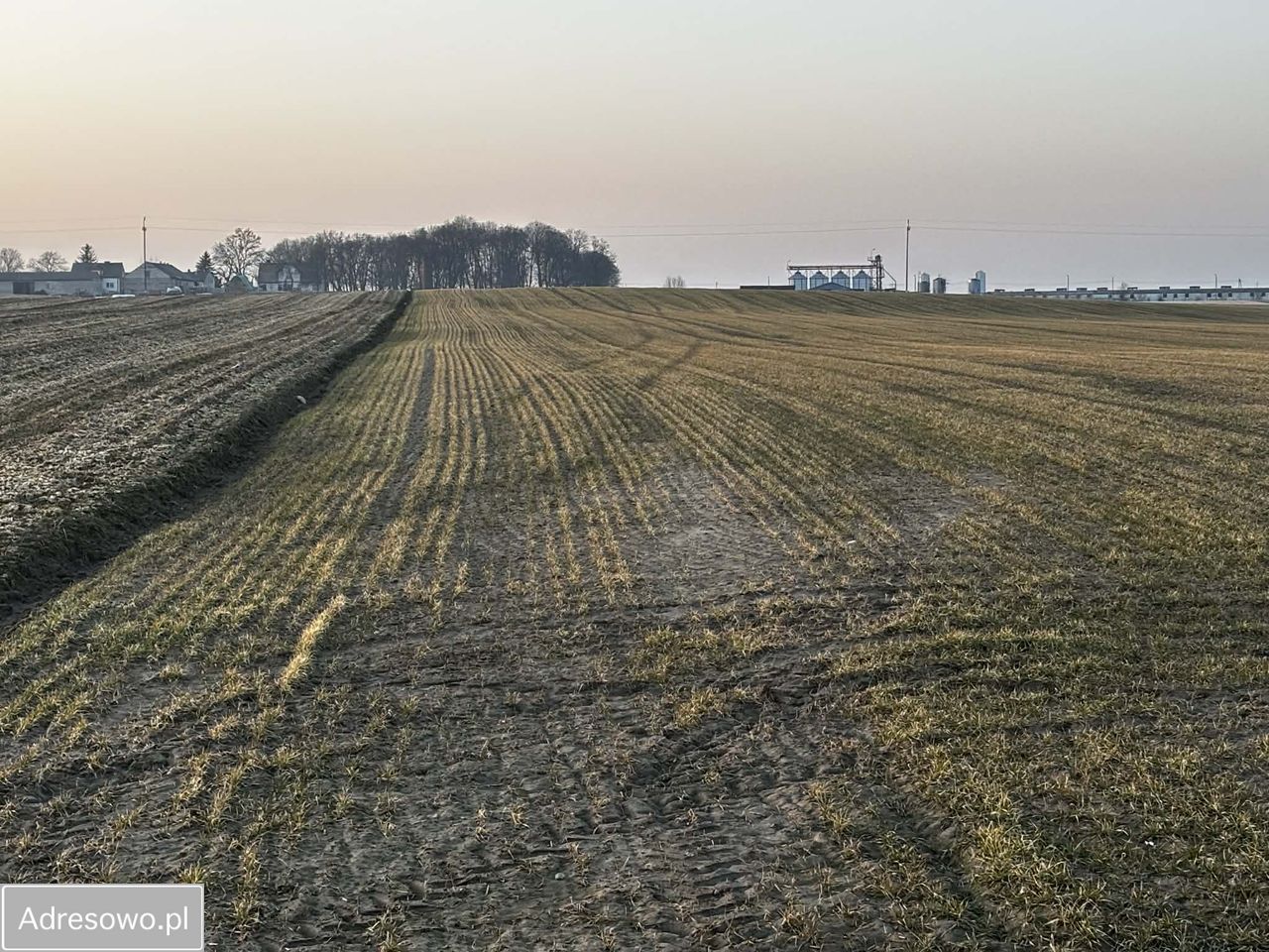 Działka rolna Trzebcz Królewski. Zdjęcie 1