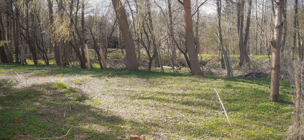 Działka budowlana Opalino. Zdjęcie 5