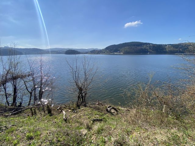 Działka leśna Rożnów Wiesiółka. Zdjęcie 1