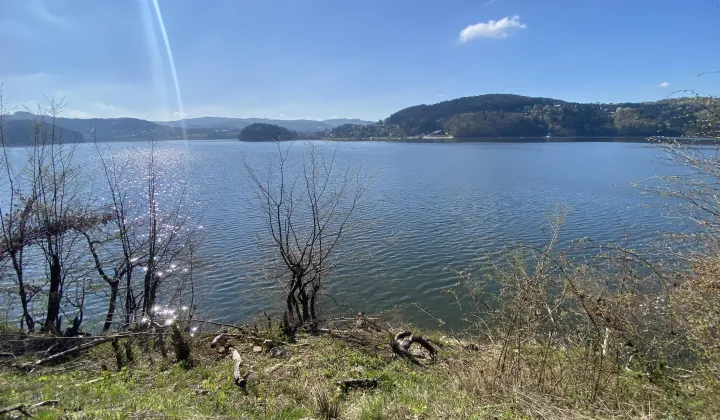 Działka leśna Rożnów Wiesiółka