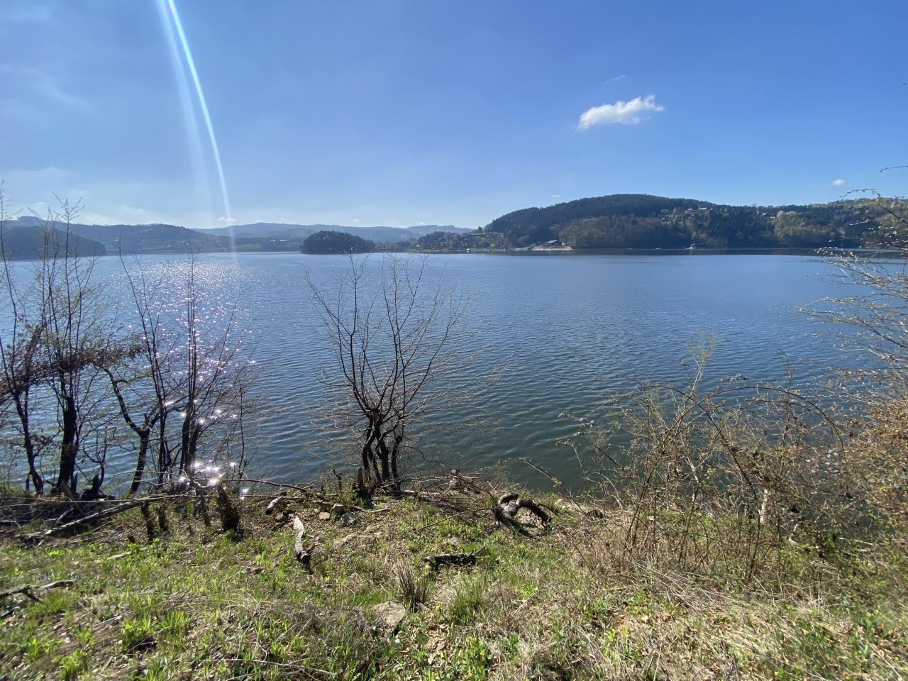 Działka leśna Rożnów Wiesiółka. Zdjęcie 1