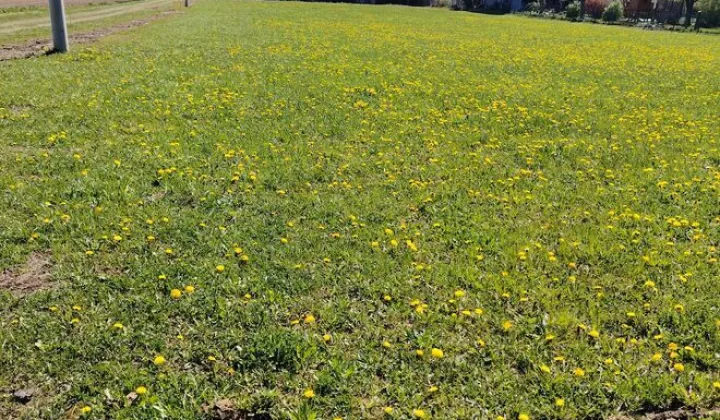 Działka budowlana Glichów