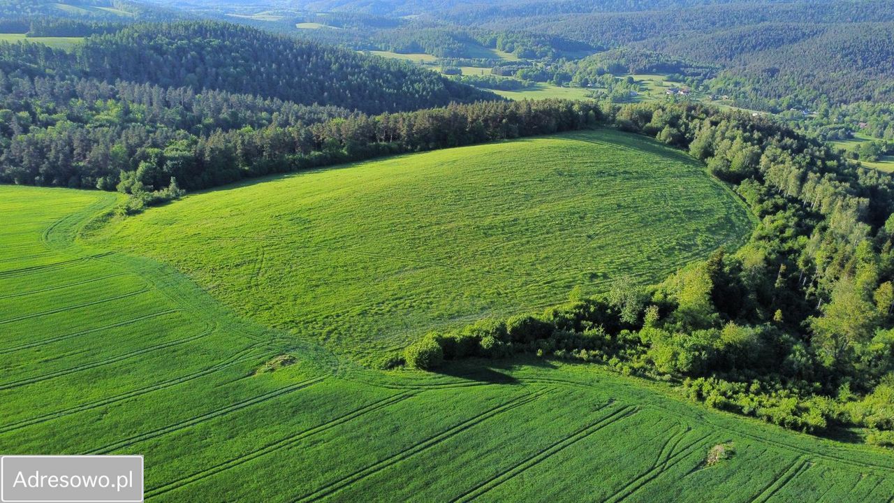 Działka rolna Leszczawa Górna. Zdjęcie 5