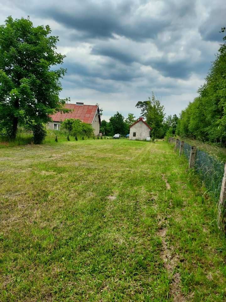 Zdjęcie 8