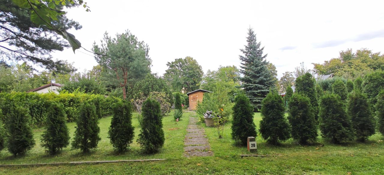 Działka rod Łódź Chojny, ul. Pryncypalna. Zdjęcie 2