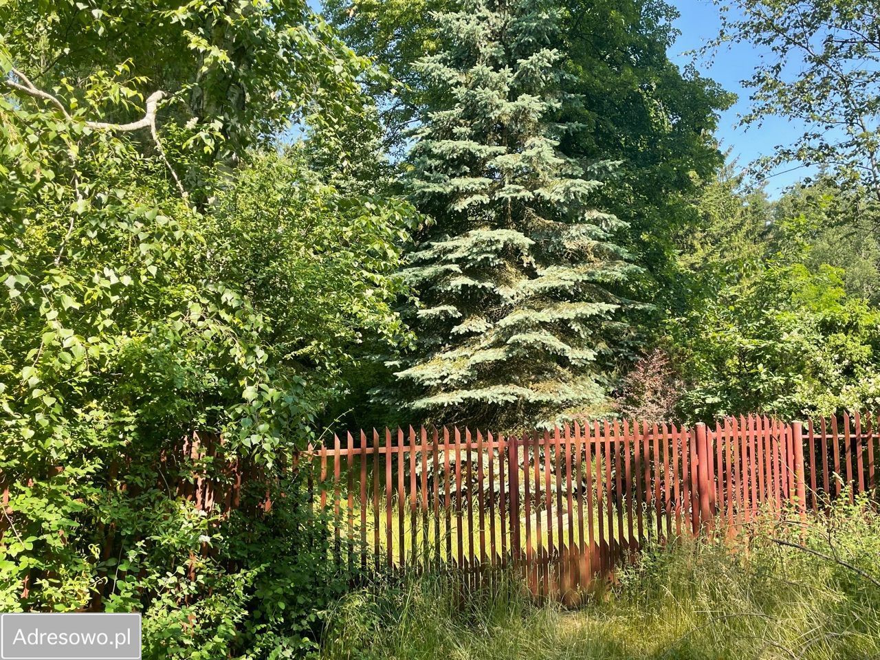 Działka leśna Łódź Feliksin, ul. Dworcowa. Zdjęcie 6